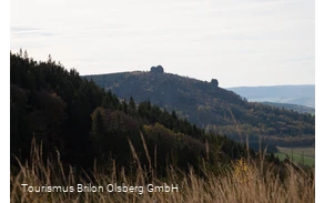 Ginsterkopf mit Blick auf die Bruchhauser Steine