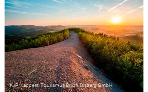 Aussicht Geologische Sprung