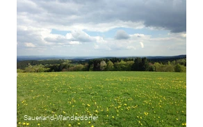 Krutenberg mit Löwenzahnwiese im Vordergrund