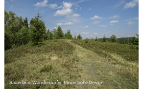 Wiesenweg am Orenberg