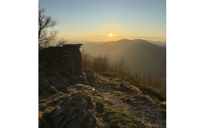 Olsberg Gipfel in der Abendsonne.jpg