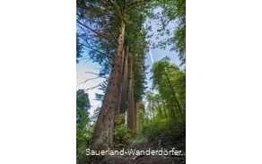 Die Himmelssäulen stehen hintereinander in der Reihe
