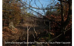 Kyrillpfad im Sauerland in der Herbstjahreszeit