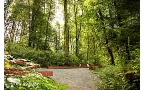 Blick vom Boden in den grünen Wald mit hölzernen Wegmakierungen