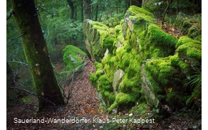 Mit Moos überzogener Hollenfelsen in den Sauerland-Wanderdörfern