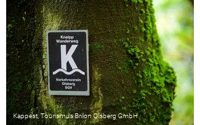 Olsberger Kneipp WanderWeg