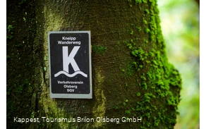 Olsberger Kneipp WanderWeg