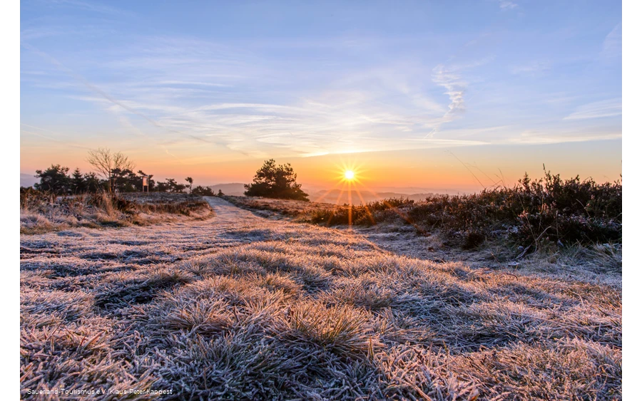 Sonnenaufgang auf dem Osterkopf in Willingen bei Frost