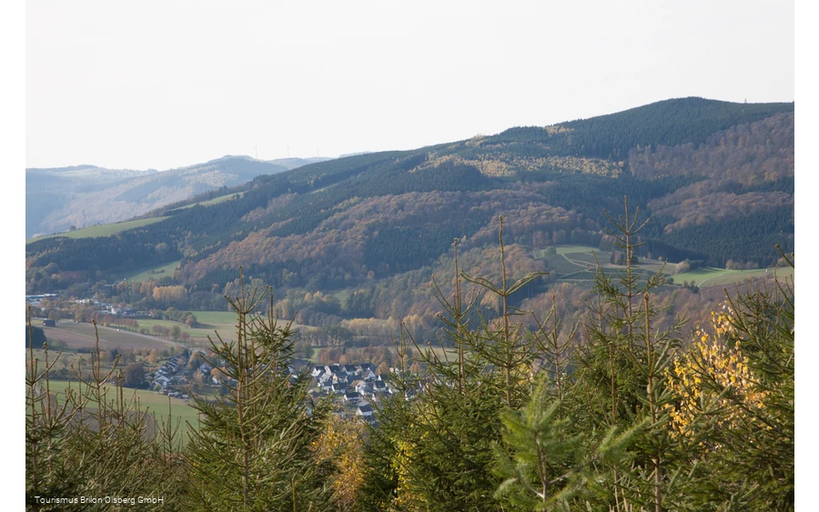 Aussicht vom Ginsterkopf auf Elleringhausen bei blauem Himmel