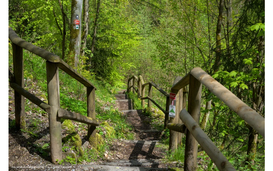 Ein schmaler Weg führt hinab über den Rothaarsteig