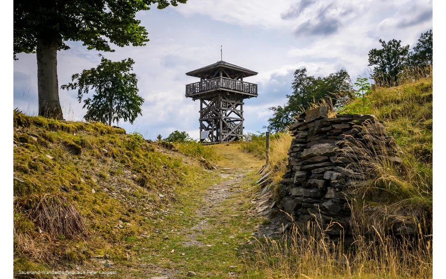 Blick auf den Turm auf dem Gelände der Schwalenburg