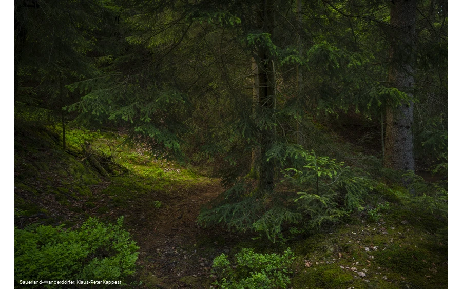 Sauerland-Seelenort Steinbruch am Schinkenkeller