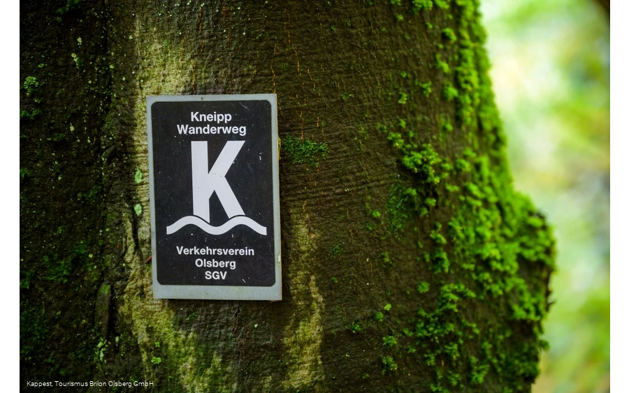 Olsberger Kneipp WanderWeg