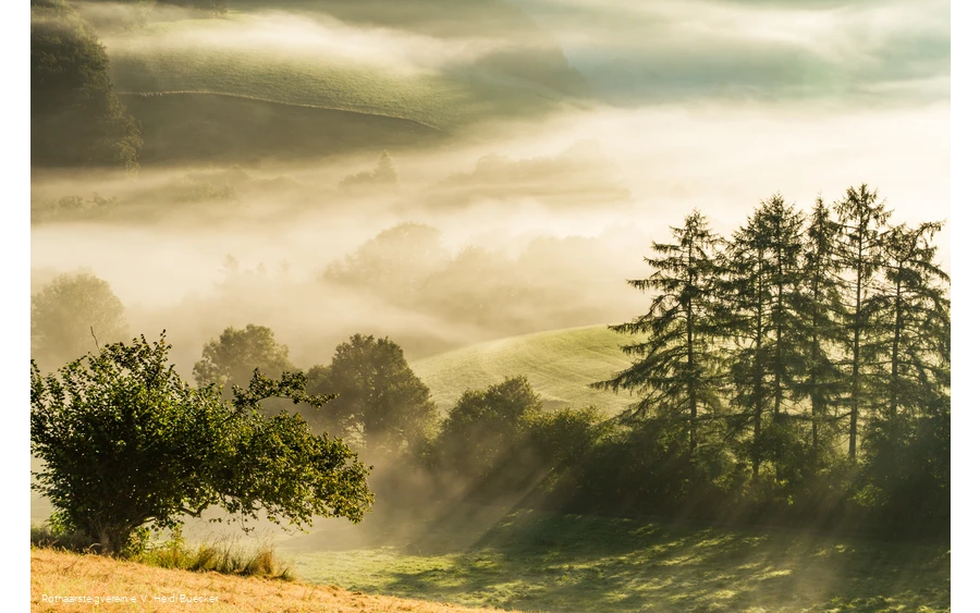 morgendunst-im-sauerland-1133.jpg