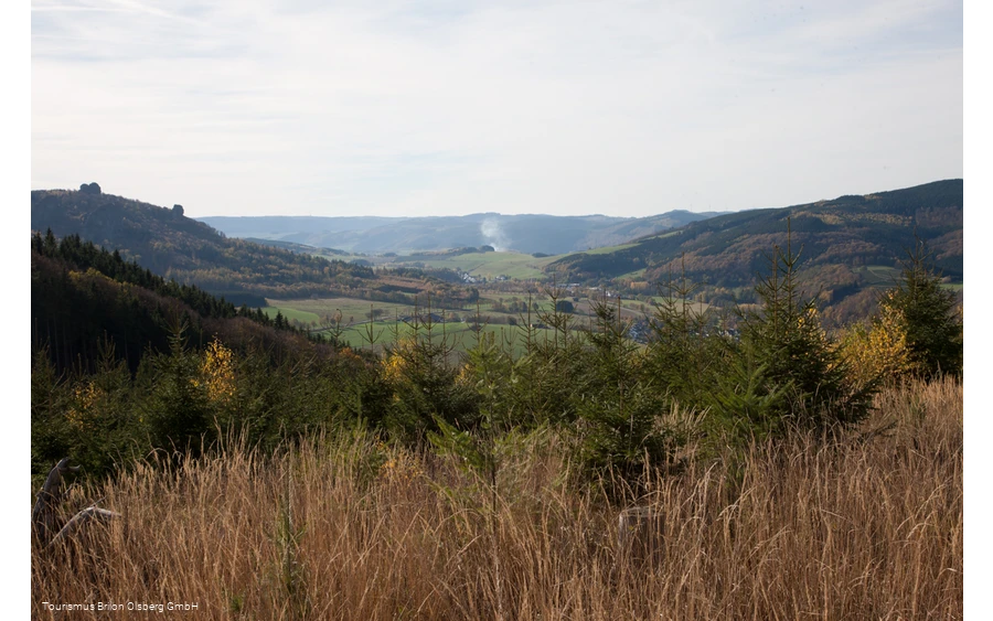 Ginsterkopf, Ausblick in den Sauerland-Wanderdörfern