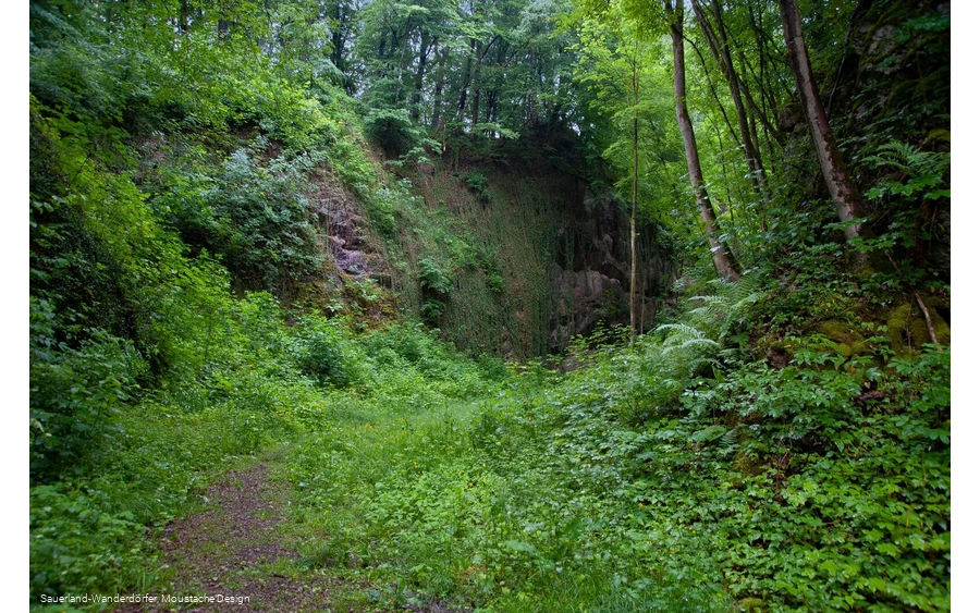 Blick in den Steinbruch Peperburg
