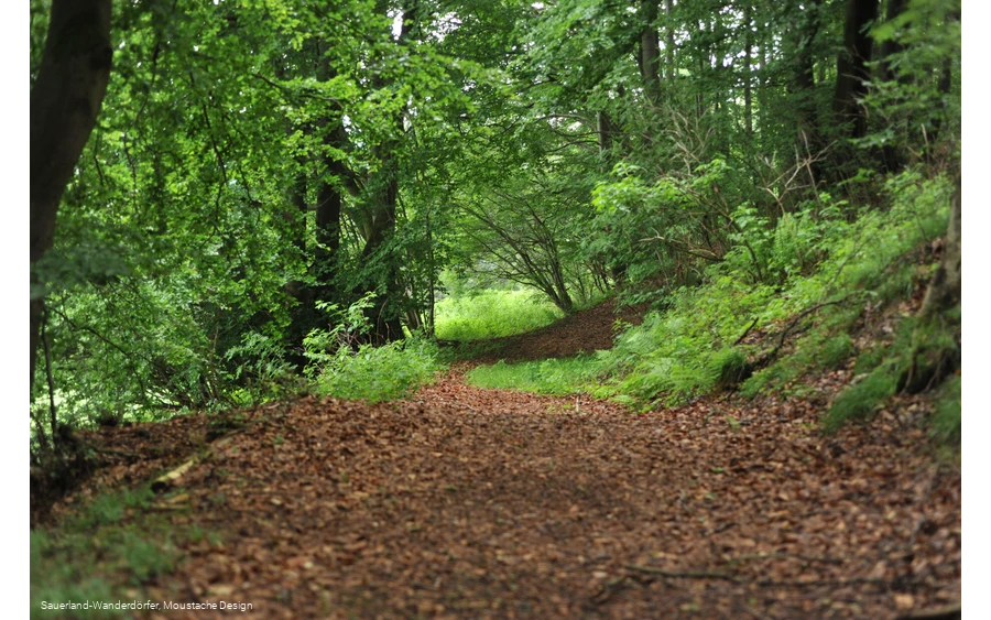 Waldweg