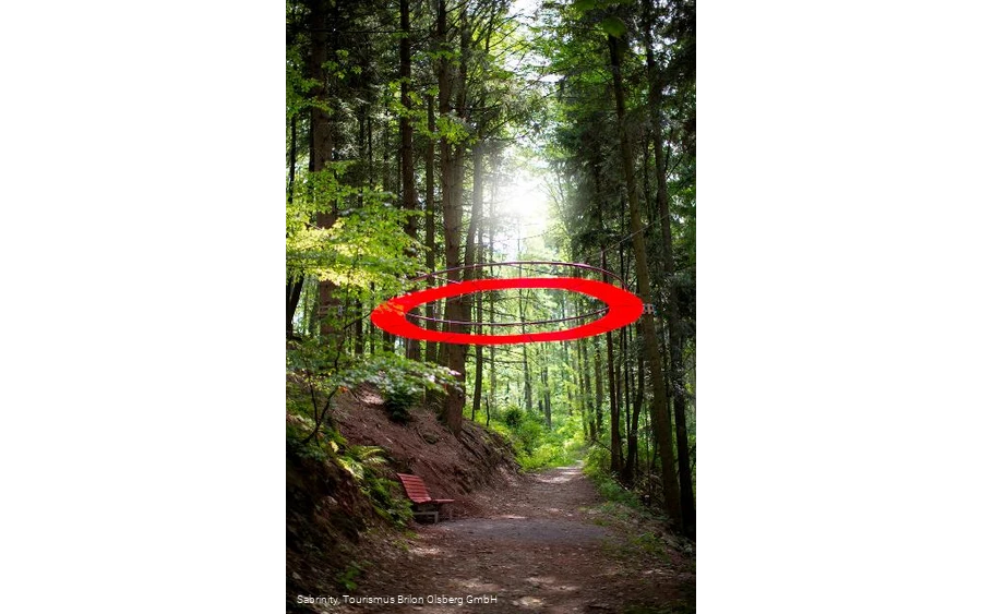 Station 8 - Feenkranz