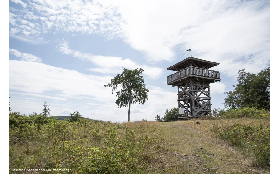 Turm an der  Schwalenburg