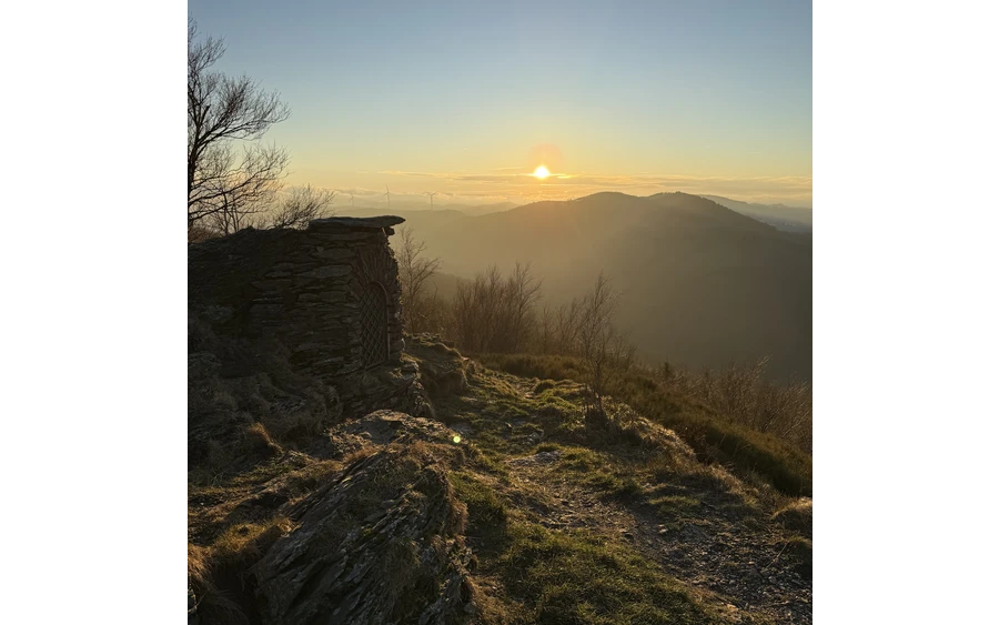 Olsberg Gipfel in der Abendsonne.jpg