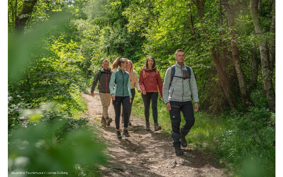 Wandergruppe unterwegs auf einem schmalen Pfad
