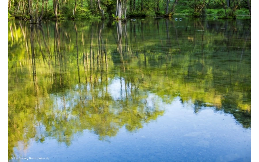 Bäume spiegeln sich im klaren Wasser der Almequellen