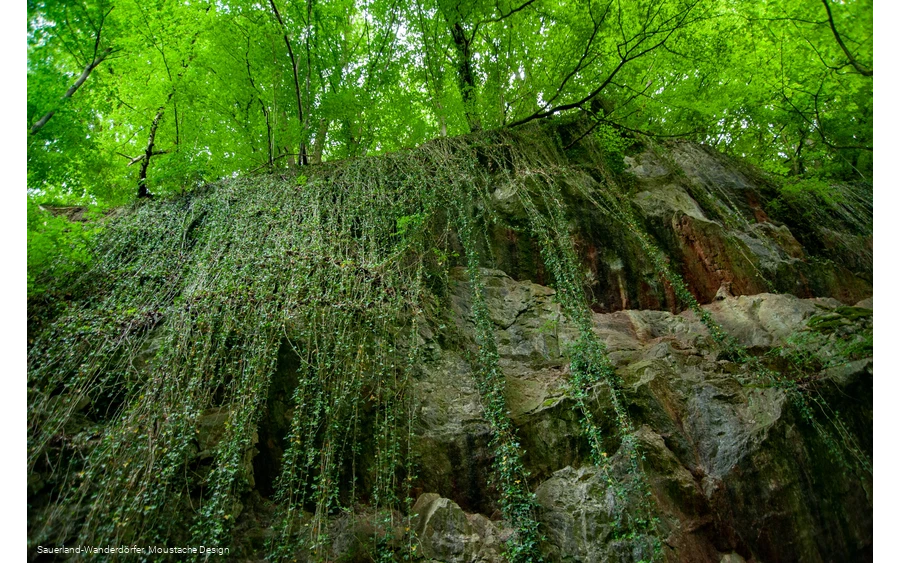 Blick nach oben auf die Felswand im Steinbruch Peperburg