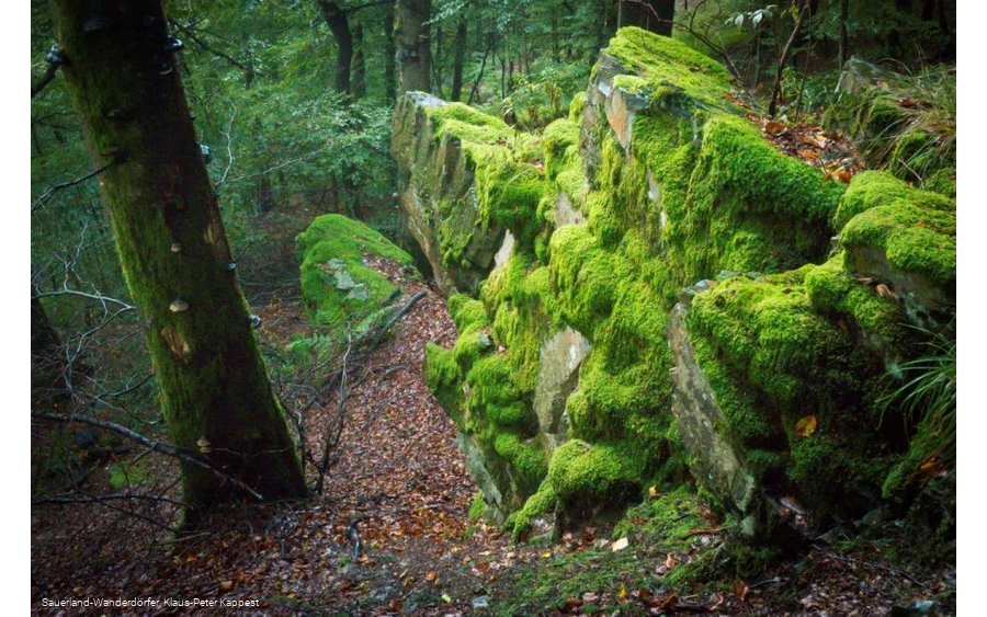 Mit Moos überzogener Hollenfelsen in den Sauerland-Wanderdörfern