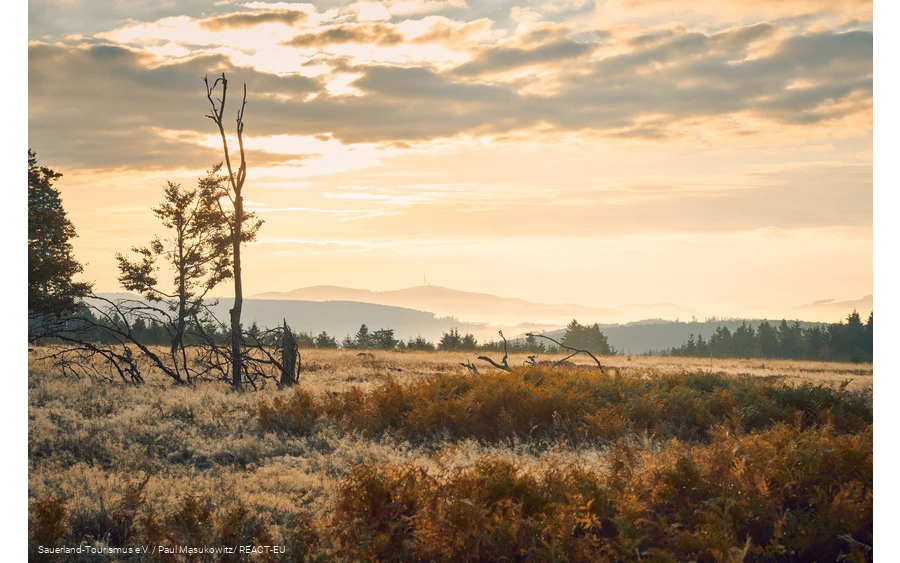 Morgentliche Aussicht vom Kahlen Asten