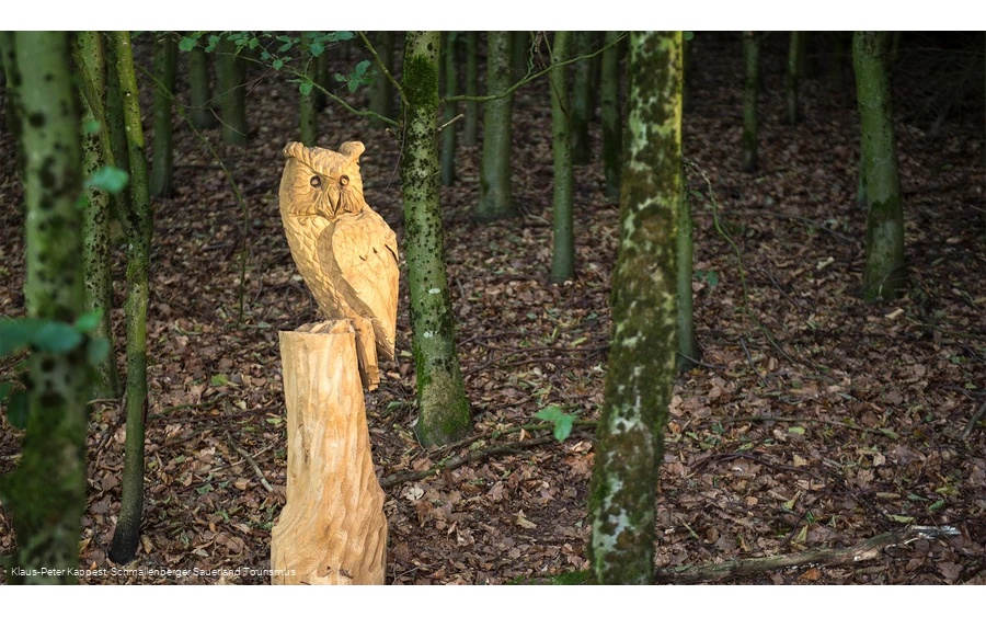 Geschnitzte Eule an der Fotoroute Oberhenneborn