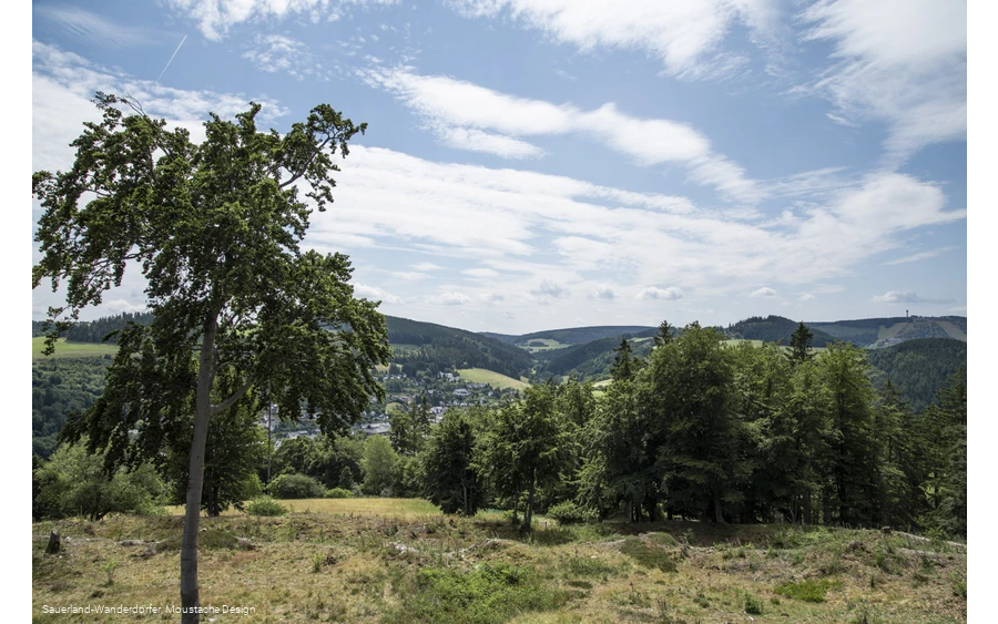 Landschaftsblick