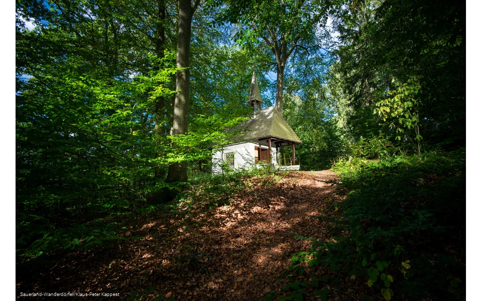 Blick auf die Friedenskapelle mitten im Wald, die von der Sonne angestrahlt wird