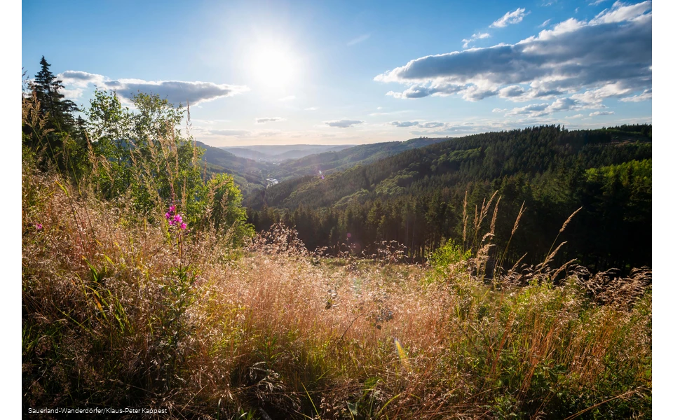 Blick ins Tal mit leichten Sommerwolken vom Ginsterkopf