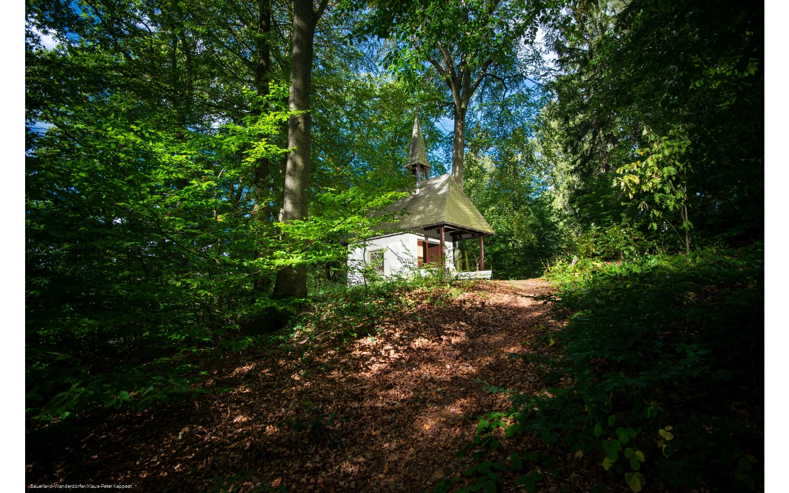 Blick auf die Friedenskapelle mitten im Wald, die von der Sonne angestrahlt wird