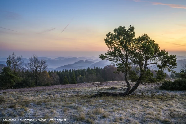 Osterkopf in Willingen im Winterlicht
