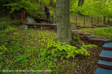 Stufenführen hinauf am Landschaftstherapeutischen Weg - der sogenannte Grottensteg