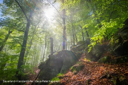 Hollenfelsen im Sonnenlicht