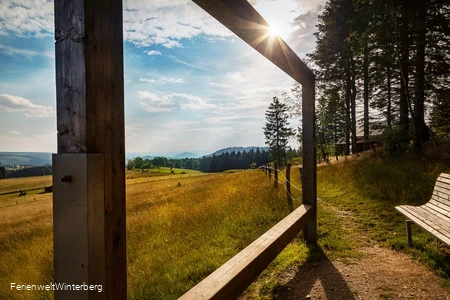 Blick durch das Landschaftskino am Gerkenstein