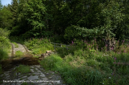 Weg im Schwarzbachtal