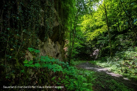 Einblick in den Steinbruch Peperburg
