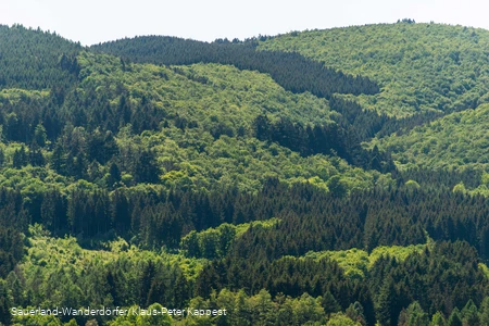 Blick auf die Himmelssäulen aus der Ferne
