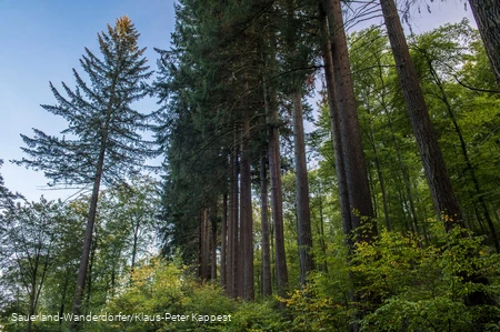 Himmelssäulen in einer Reihe