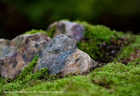 Detailansicht auf das Gestein an den Quarzklippen