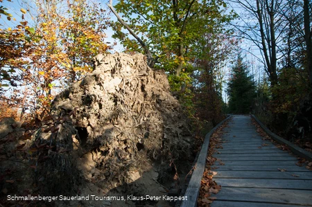 Kyrillpfad in der Abenddämmerung