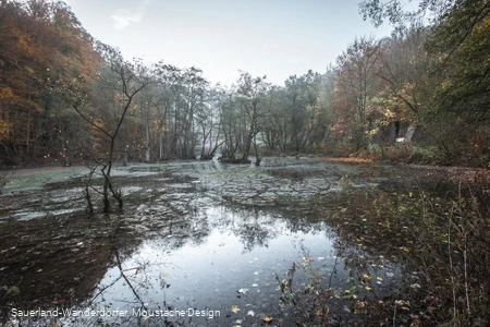 Almequellen im Herbst