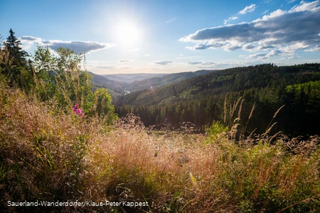 Blick ins Tal mit leichten Sommerwolken vom Ginsterkopf