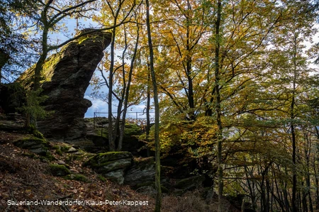 Ein schroffer Felsen im Buchenwald