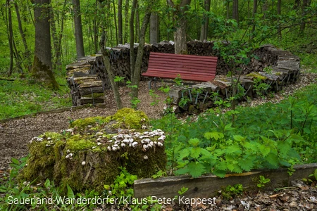 Eine rote Bank steht in einem Kreis aus Holzscheiten, die sogenannte Dichterlichtung