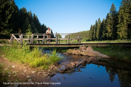 Im Schwarzbachtal steht einer der Ranger auf der Brücke