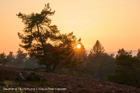 Sonnenuntergang auf der Hochheide Kahle Pön